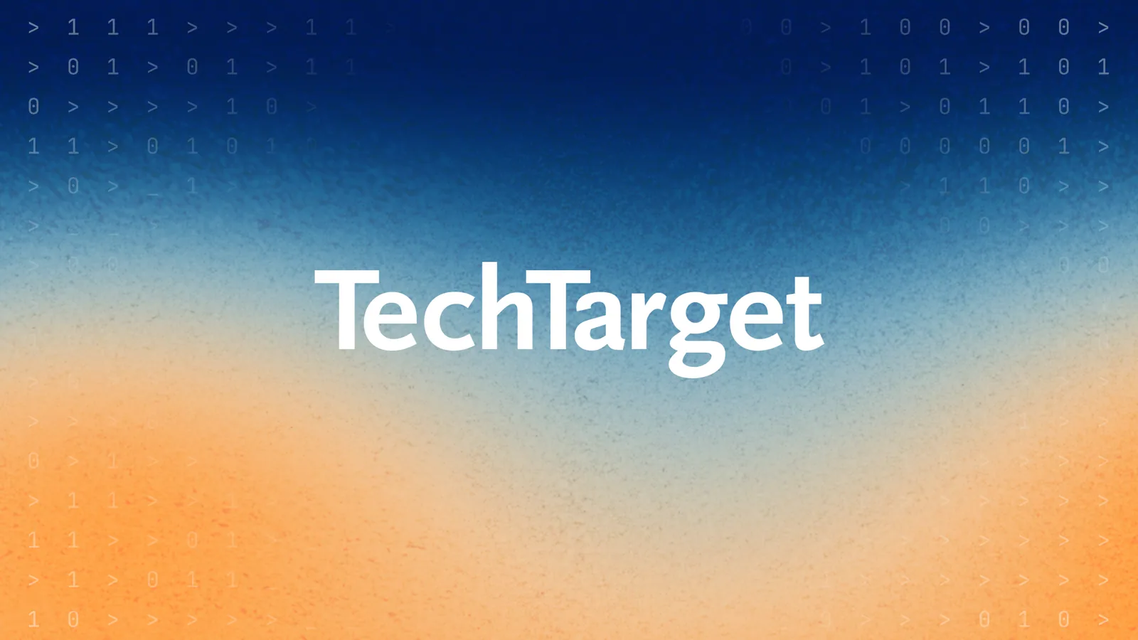 TechTarget cover