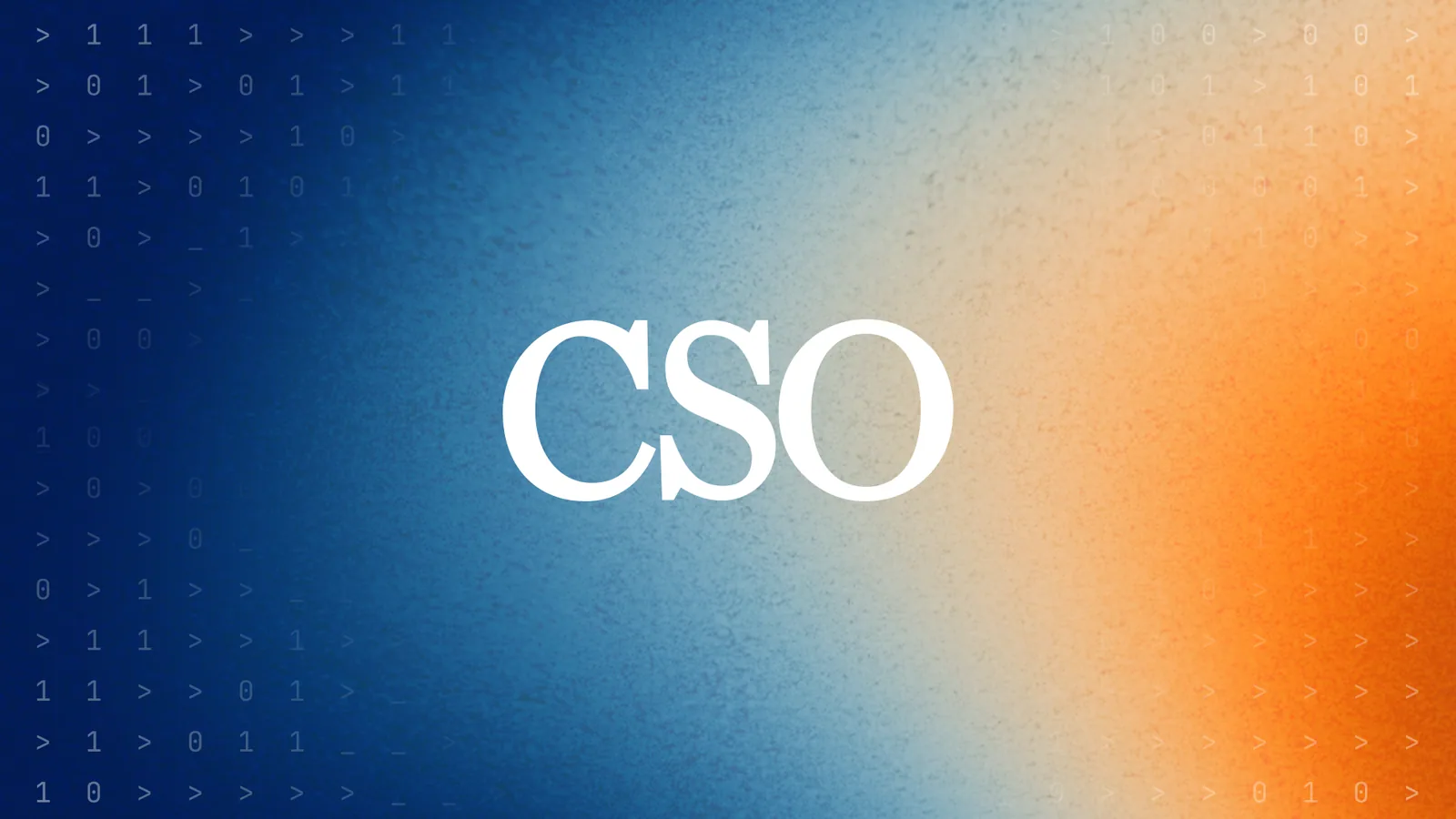 CSO cover