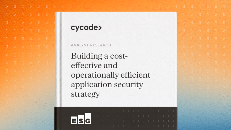 Building a Cost Effective and Operationally Efficient Application Security Strategy
