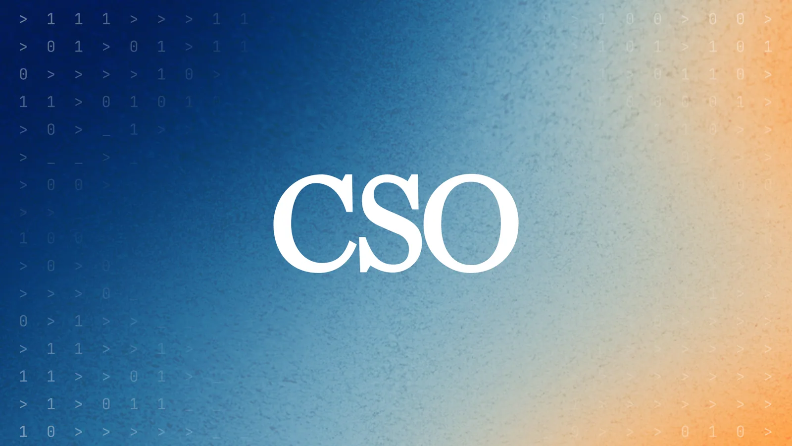 CSO cover