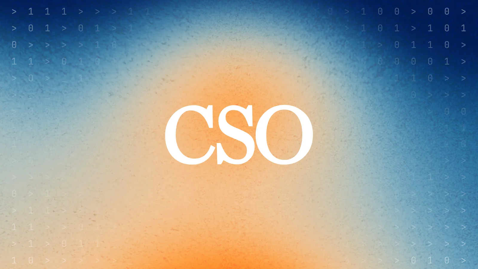CSO cover